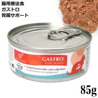 yA:݊ʓ ܖ2028N229zGNCuA ݒT|[g GASTRO KXg 85g LpÖ@H (6502)
