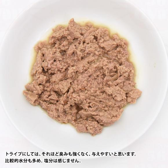 yA:݁Axjꓙ ܖ:2026N513zj[gCv CAT PURE `LO[gCv 95g (7745) NUTRIPE SNp h{
