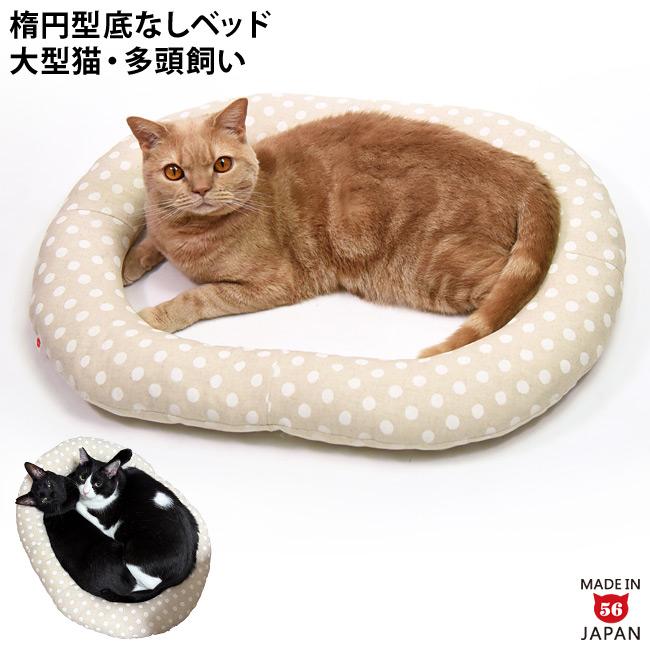 ねこりんご様40点 ネコアップルの評価】第三形態”ネコリンゴ”への進化方法と実践的