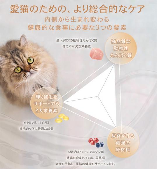 `[ &T[Lbg 1kg (34807) CHARM hCt[h SNLp h{H
