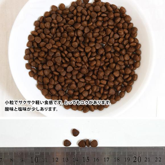 VOl`[7 AZXg_CGbg i[ T[Vs 6kg (83799) Signature7 SNLp h{H hCt[h I[KjbN