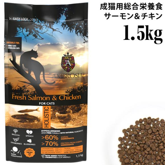 yܖ2025N1010zAuVA Lbg T[&`L 1.5kg hCt[h OCt[ veC h{H