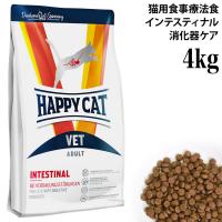 yܖ2025N1122znbs[Lbg VET CeXeBi (PA) 4kg HAPPY CAT hCt[h qL L LpÖ@H ݒPA Oet[