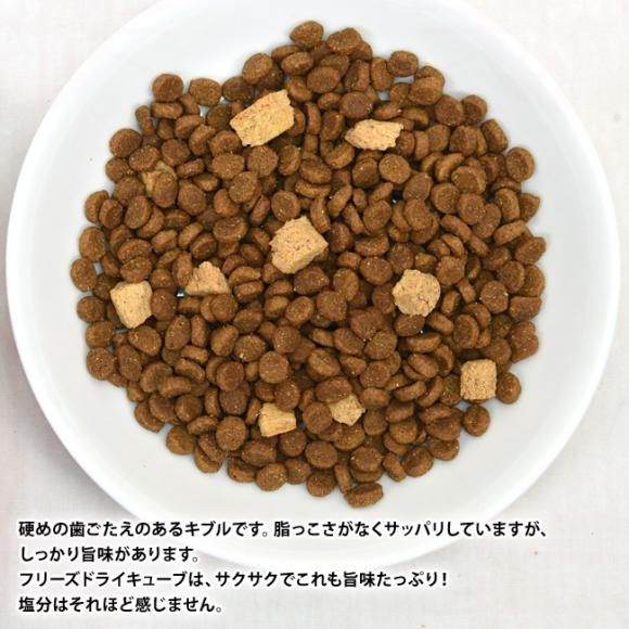 LbgCbg Vs[Y A_g `L 400g (28450) Lp h{H Catit Recipes Double Fusion ADULT