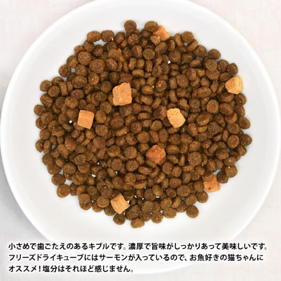 LbgCbg Vs[Y tBbV 畆уPA 400g (28511) Lp h{H Catit Recipes Double Fusion SKIN&COAT