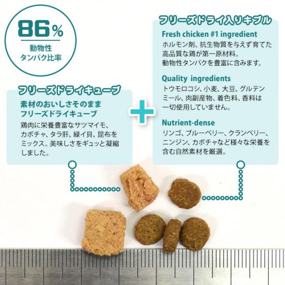 LbgCbg Vs[Y VjA `L 400g (28535) Lp 11΂ h{H Catit Recipes Double Fusion SENIOR