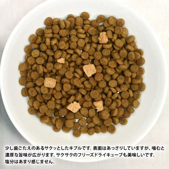 LbgCbg Vs[Y VjA `L 400g (28535) Lp 11΂ h{H Catit Recipes Double Fusion SENIOR