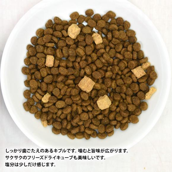 LbgCbg Vs[Y ChA 1.5kg (28481) Lp ̏dǗ Lp h{H Catit Recipes Double Fusion INDOOR