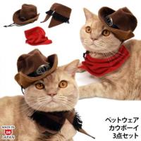 JE{[C3_Zbg Xq X^C XJ[t SɂIWi L EFX^n