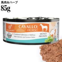 yL:ʃTrݓ ܖ2029N1zGNCuA n&n[u 85g EFbgt[h