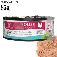 yA:ʉݓ ܖ2028N2zGNCuA `L&n[u 85g EFbgt[h