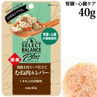 ZNgoXPlus {҂X[vd tEŠNێT|[g 40g (04206) Lp EFbgt[h pE` Y