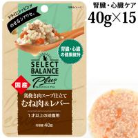 ZNgoXPlus {҂X[vd tEŠNێT|[g 40g~15܃Zbg (04206) Lp EFbgt[h pE` Y