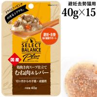 ZNgoXPlus {҂X[vd DĚNT|[g 40g~15܃Zbg (04213) 10̎qLELp EFbgt[h pE` Y