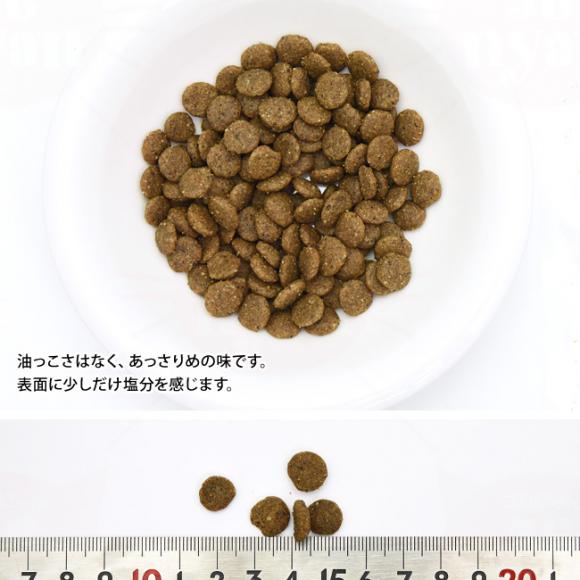 yܖ2026N128znbs[Lbg VETXgoCg(A΃PA) 4kg (8377) HAPPY CAT hCt[h Ö@H