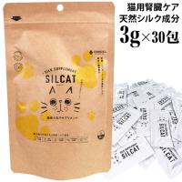 yܖ2026N131zSILCAT VLbg 3g~30 Lp tPA Tvg VN