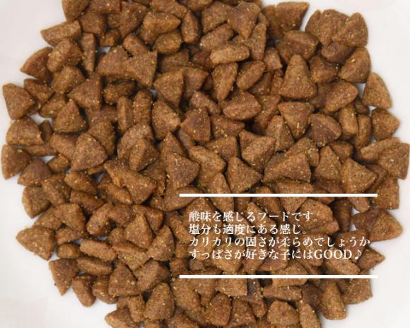 yܖ2026N131zzXeBbNZs[ Lp 7΂܂ `L&CX 330g Lp hCt[h