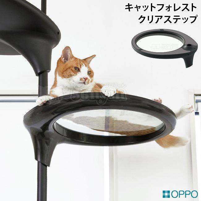 OPPO ClearShelf クリアシェルフ ブラック (07666) キャットフォレスト