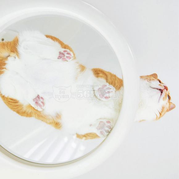 OPPO ClearShelf NAVFt zCg (07659) LbgtHXg IvV ǉp[c OT-669-742-6