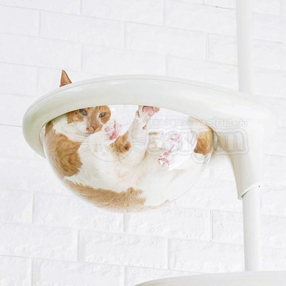 OPPO ClearBowl NA{E zCg (07635) LbgtHXg IvV ǉp[c OT-669-712-6