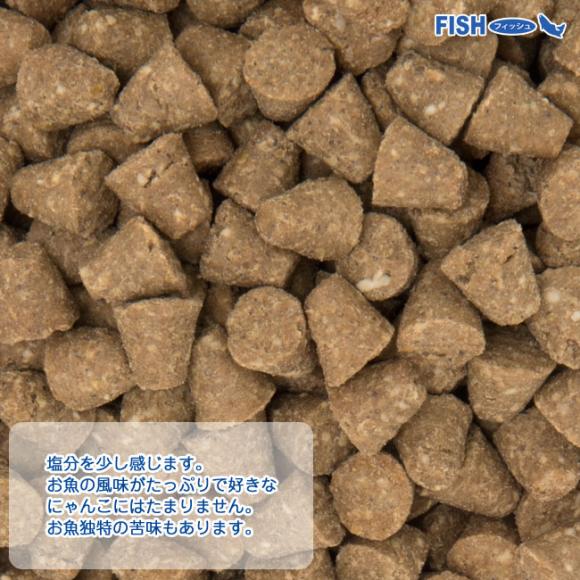 �y�ܖ�����2026�N2��21���z�I�[�u���x�[�N�h �A�_���g �O���C���t���[�t�B�b�V�� (���L�p) 1.13kg �h���C�t�[�h