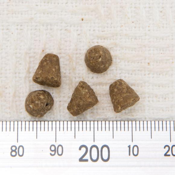 �y�ܖ�����2026�N2��21���z�I�[�u���x�[�N�h �A�_���g �O���C���t���[�t�B�b�V�� (���L�p) 1.13kg �h���C�t�[�h