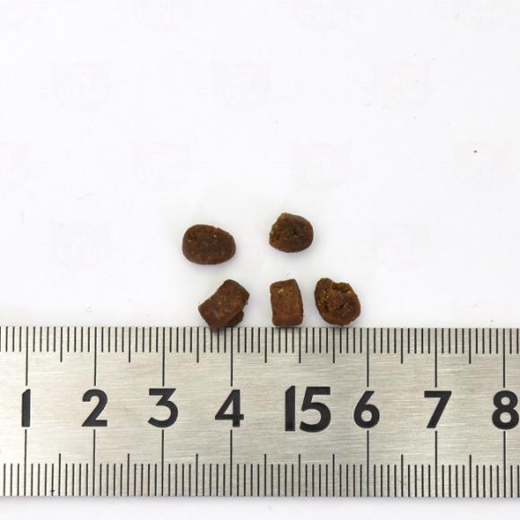 �y�ܖ�����2026�N3��13���z�u���X�~�b�N�X �O���C���t���[�L���b�g �`�L�����V�s 1kg  �L�p �h���C�t�[�h �����h�{�H