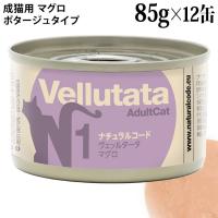 �i�`�������R�[�h ���F�b���^�[�^ N1 �}�O�� 85g�~12�ʃZ�b�g (51713) ���L�p �|�^�[�W���^�C�v �C�^���A �ʋl