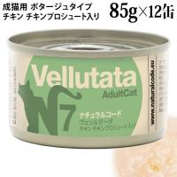 �i�`�������R�[�h ���F�b���^�[�^ N7 �`�L�� �`�L���v���V���[�g 85g�~12�ʃZ�b�g (51942) ���L�p �|�^�[�W���^�C�v �C�^���A �ʋl