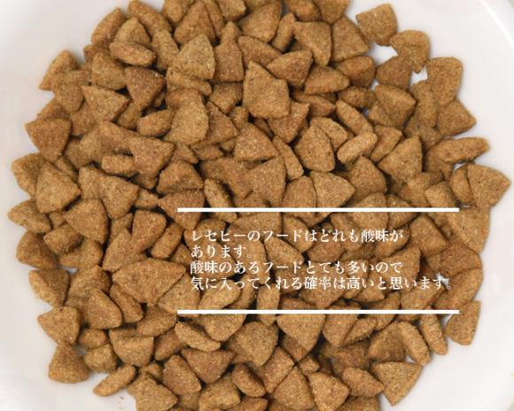 �y�ܖ�����2026�N3��31���z�z���X�e�B�b�N���Z�s�[ �\�����[�V���� �L���C�g �̏d�Ǘ� �����L�p �`�L��&���C�X 1.6kg(400g�~4)