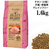 �y�ܖ�����2026�N4��30���z�Z���N�g�o�����X �L���b�g �O���C���t���[ �L�g�� �`�L�� 1.6kg �q�L�p ��L�p �����h�{�H �h���C�t�[�h