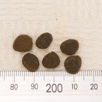 ACANA AJi nCGXgveC pVtBJLbg 1.8kg (14642)