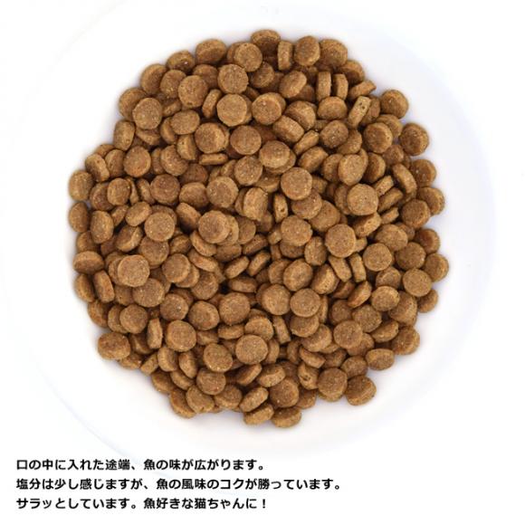 �A�f�B�N�V���� �T�[�����u���[ �O���C���t���[ �L���b�g�t�[�h �������T���v�� 50g (12004) ADDICTION �S�N��L�p �����h�{�H �����s�g�p