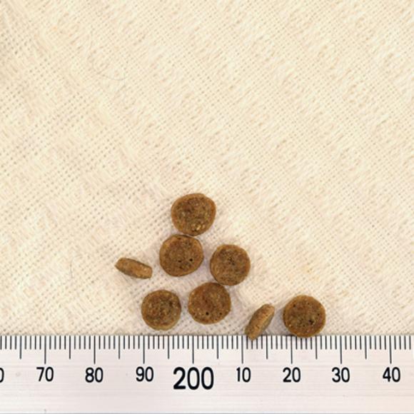 �A�f�B�N�V���� �T�[�����u���[ �O���C���t���[ �L���b�g�t�[�h �������T���v�� 50g (12004) ADDICTION �S�N��L�p �����h�{�H �����s�g�p