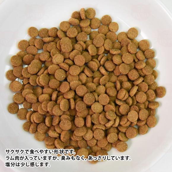 �A�f�B�N�V���� ���C���h�A�C�����Y �n�C�����h�~�[�c���V�s �O���C���t���[ �������T���v�� 50g (12209) ADDICTION �S�N��L�p �����h�{�H �����s�g�p