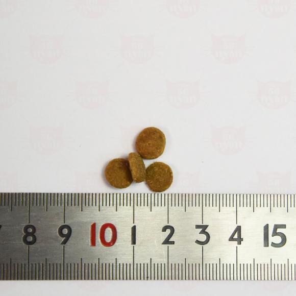 �A�f�B�N�V���� ���C���h�A�C�����Y �n�C�����h�~�[�c���V�s �O���C���t���[ �������T���v�� 50g (12209) ADDICTION �S�N��L�p �����h�{�H �����s�g�p