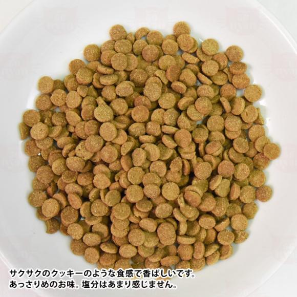 �A�f�B�N�V���� ���C���h�A�C�����Y �A�C�����h�o�[�Y �O���C���t���[ �������T���v�� 50g (12803) ADDICTION �S�N��L�p �����h�{�H �����s�g�p