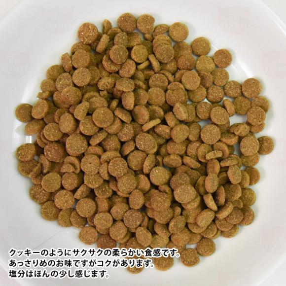 �A�f�B�N�V���� ���C���h�A�C�����Y �p�V�t�B�b�N�L���b�` �O���C���t���[ �������T���v�� 50g (12001) ADDICTION �S�N��L�p �����h�{�H �����s�g�p