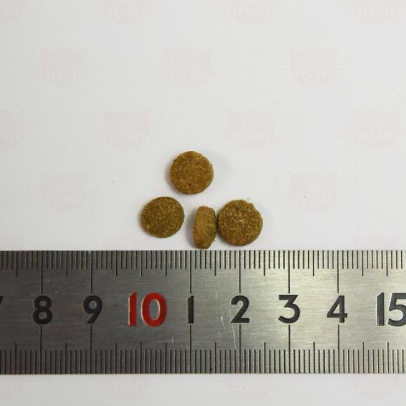 �A�f�B�N�V���� ���C���h�A�C�����Y �p�V�t�B�b�N�L���b�` �O���C���t���[ �������T���v�� 50g (12001) ADDICTION �S�N��L�p �����h�{�H �����s�g�p