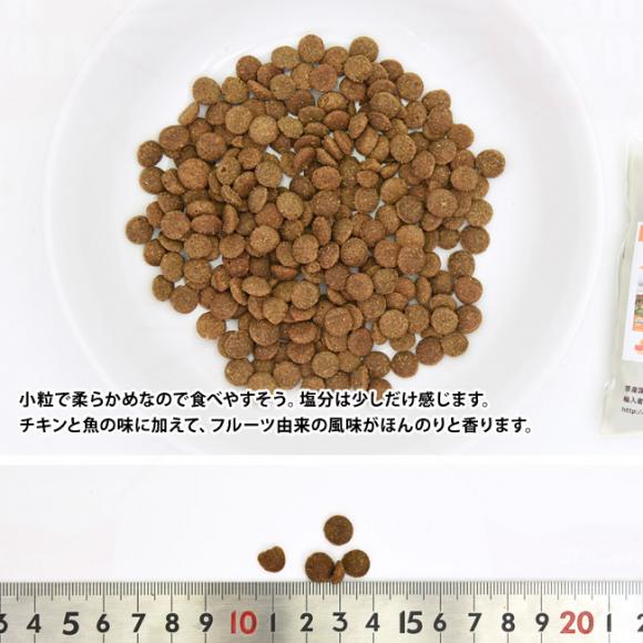 �A�f�B�N�V���� �`�L���V���v���[�� �O���C���t���[ �L���b�g�t�[�h �������T���v�� 50g (12806) ADDICTION ���L�p �����h�{�H �����s�g�p