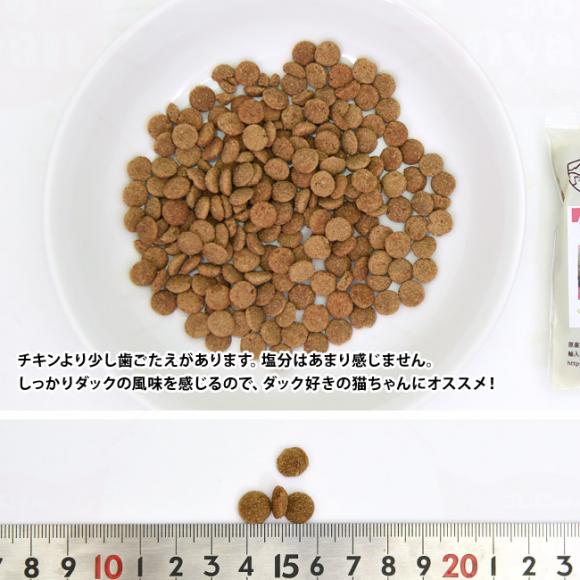 �A�f�B�N�V���� �_�b�N���C���� �O���C���t���[ �L���b�g�t�[�h �������T���v�� 50g (12905) ADDICTION �S�N��L�p �����h�{�H �����s�g�p