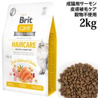 Brit�P�A �L���b�g �O���C���t���[ �T�[���� �w�A�P�A 2kg (51729) �畆��уP�A ���L�p �����h�{�H �����s�g�p