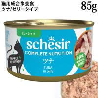 �V�V�A �L���b�g �[���[�^�C�v �c�i 85g�� (21123058) Schesir �L�p �����h�{�H �E�F�b�g�t�[�h�y�|�C���g10�{�z