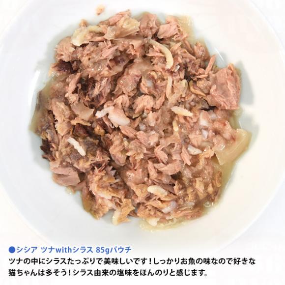 �y�����L�O10��OFF�z�V�V�A �L���b�g �[���[�^�C�v �c�iwith�V���X 85g�p�E�` (21223158) Schesir �L�p �����h�{�H �E�F�b�g�t�[�h�y�|�C���g10�{�z