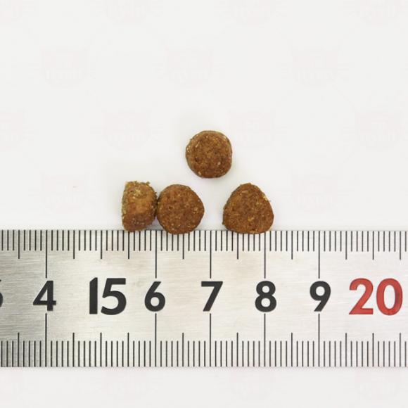 �y�ܖ�����2026�N9��1���zHAPPY CAT �n�b�s�[�L���b�g �P�A �X�g�}�b�N&�C���e�X�e�B�� �ݒ��P�A 50g �Z���V�e�B�u �����h�{�H �h���C�t�[�h ���L �V�j�A�L�p �T���v��