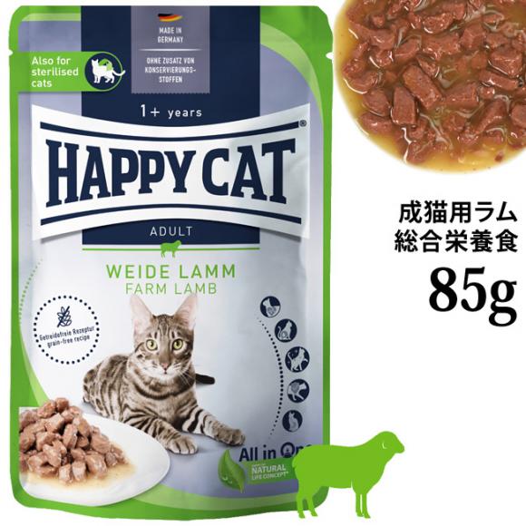 �n�b�s�[�L���b�g �~�[�g in �\�[�X �p�E�` �q�{�̃��� (���L�E��D����) 85g (72997) �E�F�b�g�t�[�h �����h�{�H �O���C���t���[ �t�@�[������