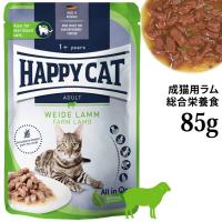�n�b�s�[�L���b�g �~�[�g in �\�[�X �p�E�` �q�{�̃��� (���L�E��D����) 85g (72997) �E�F�b�g�t�[�h �����h�{�H �O���C���t���[ �t�@�[������