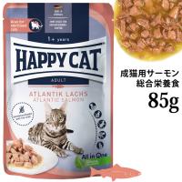 �n�b�s�[�L���b�g �~�[�g in �\�[�X �p�E�` �A�g�����e�B�b�N�T�[���� (���L�E��D����) 85g (73000) �E�F�b�g�t�[�h �����h�{�H �O���C���t���[