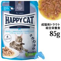 �n�b�s�[�L���b�g �~�[�g in �\�[�X �p�E�` �X�v�����O�g���E�g (���L�E��D����) 85g (73024) �E�F�b�g�t�[�h �����h�{�H �O���C���t���[