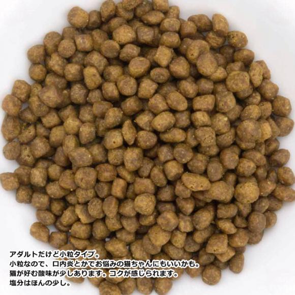 �y�ܖ�����2026�N9��2���zNOW FRESH �i�E�t���b�V�� �O���C���t���[ �A�_���g�L���b�g 3.63kg Now �h���C�t�[�h